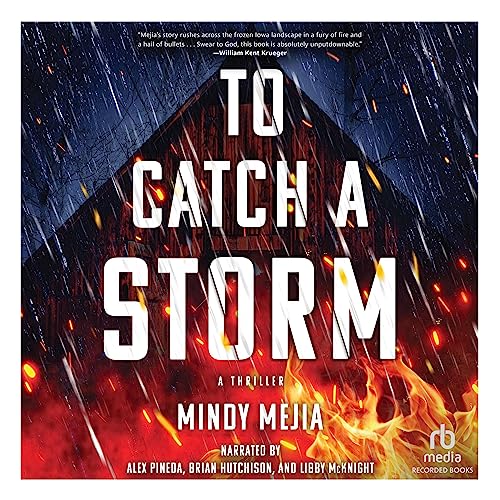 To Catch a Storm by Mindy Mejia